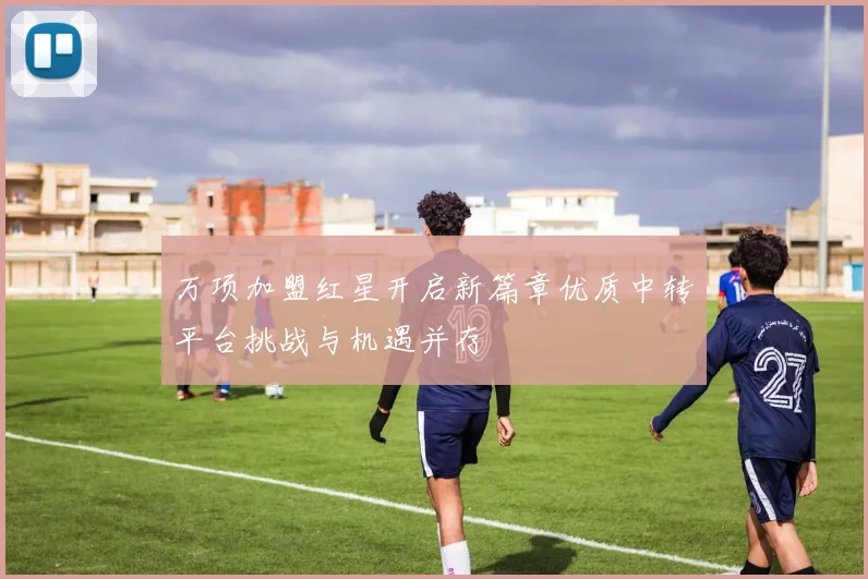 万项加盟红星开启新篇章优质中转平台挑战与机遇并存