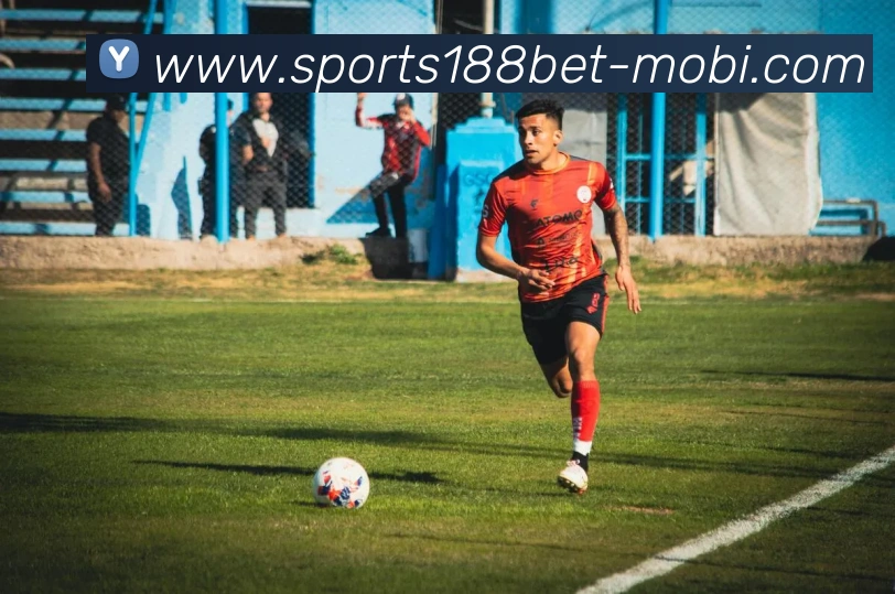 App Interface Preview